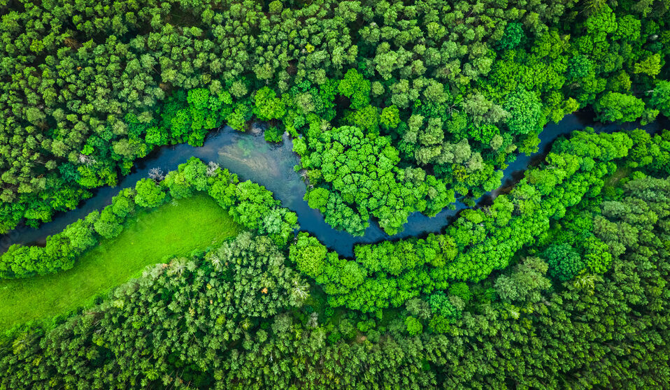 Natural landscape symbolizing a resilient and sustainable energy future