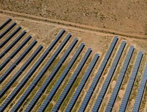 image 102